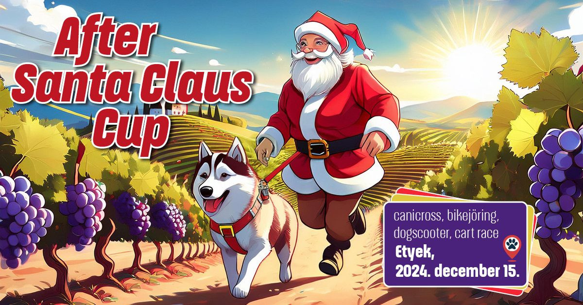 Első alkalommal rendezik meg az After Santa Claus Cupot Etyeken